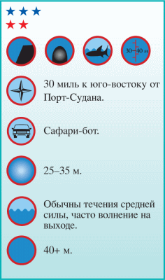 Дайвинг. Красное море i_195.png