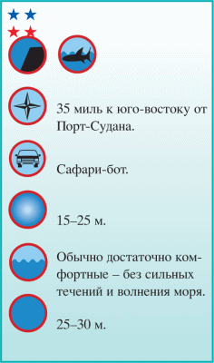 Дайвинг. Красное море i_198.png