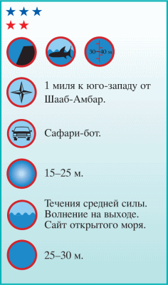Дайвинг. Красное море i_200.png