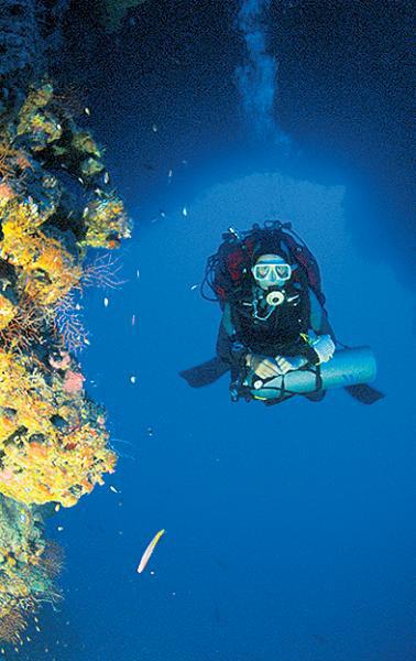 Дайвинг. Красное море i_206.jpg
