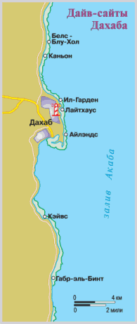 Дайвинг. Красное море i_015.png