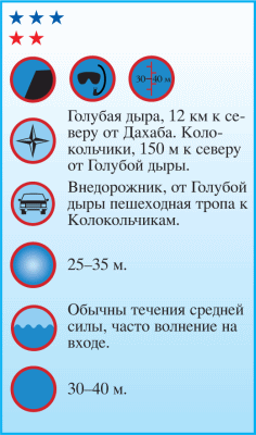 Дайвинг. Красное море i_021.png