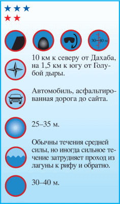 Дайвинг. Красное море i_024.png