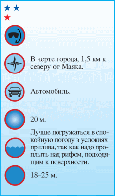 Дайвинг. Красное море i_029.png