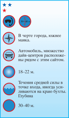 Дайвинг. Красное море i_031.png