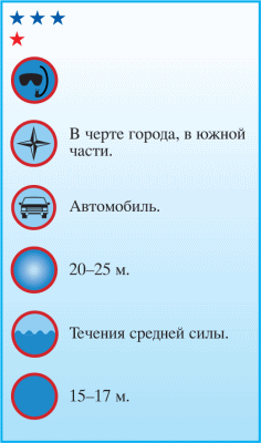 Дайвинг. Красное море i_034.png