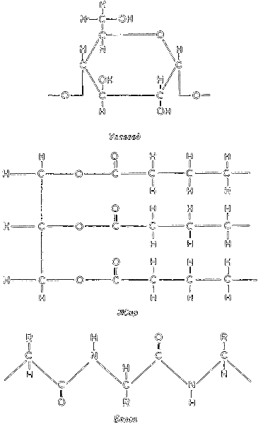Краткая история биологии i_005.png