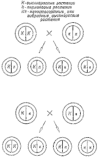 Краткая история биологии i_006.png