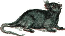Золушка i_014.png