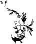Юркин хуторок Untitled27.png