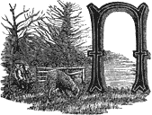 Особенная _147.png