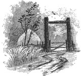 Особенная _219.png