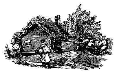 Русские народные сказки (Сост. В. П. Аникин) _102.jpg