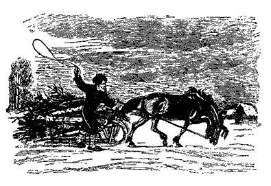Русские народные сказки (Сост. В. П. Аникин) _104.jpg