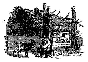 Русские народные сказки (Сост. В. П. Аникин) _16.jpg