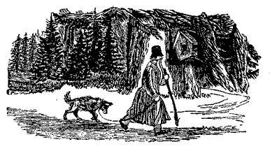 Русские народные сказки (Сост. В. П. Аникин) _27.jpg
