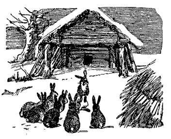 Русские народные сказки (Сост. В. П. Аникин) _29.jpg