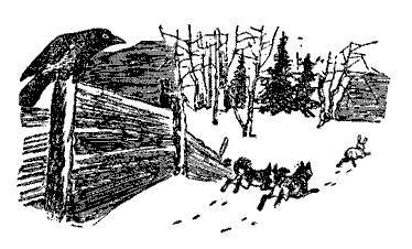 Русские народные сказки (Сост. В. П. Аникин) _30.jpg