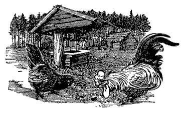 Русские народные сказки (Сост. В. П. Аникин) _32.jpg
