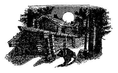 Русские народные сказки (Сост. В. П. Аникин) _39.jpg