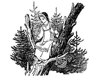 Русские народные сказки (Сост. В. П. Аникин) _41.jpg