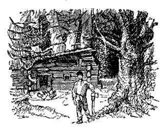 Русские народные сказки (Сост. В. П. Аникин) _42.jpg