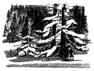 Русские народные сказки (Сост. В. П. Аникин) _49.jpg