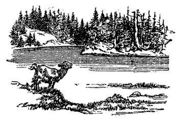 Русские народные сказки (Сост. В. П. Аникин) _51.jpg