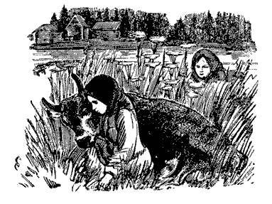 Русские народные сказки (Сост. В. П. Аникин) _53.jpg