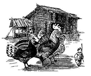 Русские народные сказки (Сост. В. П. Аникин) _54.jpg