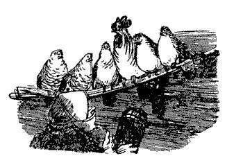 Русские народные сказки (Сост. В. П. Аникин) _62.jpg