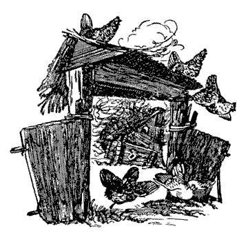 Русские народные сказки (Сост. В. П. Аникин) _64.jpg