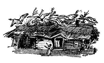 Русские народные сказки (Сост. В. П. Аникин) _68.jpg