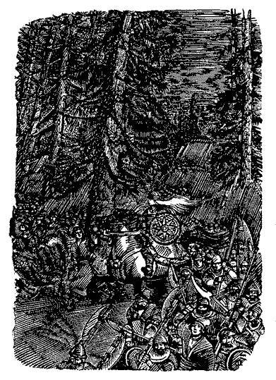 Русские народные сказки (Сост. В. П. Аникин) _80.jpg