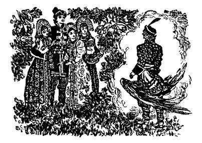 Русские народные сказки (Сост. В. П. Аникин) _81.jpg