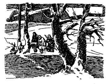Русские народные сказки (Сост. В. П. Аникин) _3.jpg