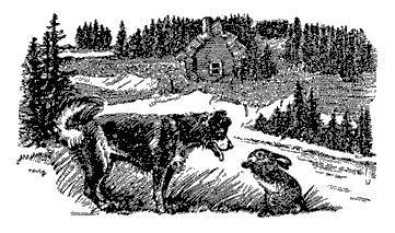Русские народные сказки (Сост. В. П. Аникин) _4.jpg