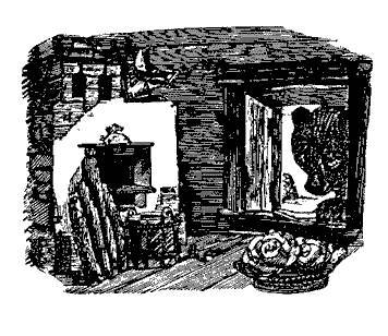 Русские народные сказки (Сост. В. П. Аникин) _5.jpg