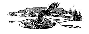 Русские народные сказки (Сост. В. П. Аникин) _9.jpg