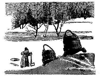 Русские народные сказки (Сост. В. П. Аникин) _89.jpg
