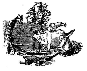 Русские народные сказки (Сост. В. П. Аникин) _12.jpg