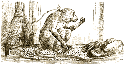 Доктор Айболит (с илл.) i_012.png