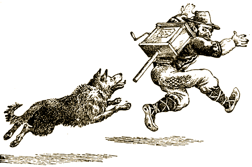 Доктор Айболит (с илл.) i_014.png