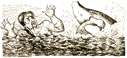 Доктор Айболит (с илл.) i_090.png