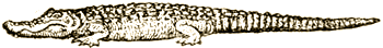Доктор Айболит (с илл.) i_096.png