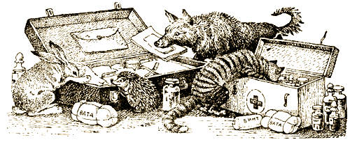 Доктор Айболит (с илл.) i_023.png