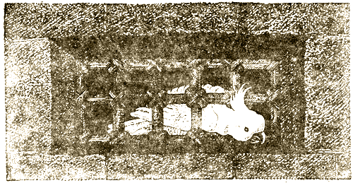 Доктор Айболит (с илл.) i_032.png
