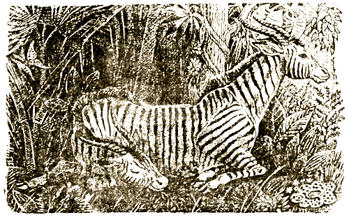 Доктор Айболит (с илл.) i_044.png