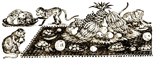 Доктор Айболит (с илл.) i_045.png