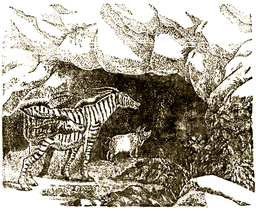 Доктор Айболит (с илл.) i_057.png